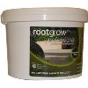 Mycorrhizal Fungi 