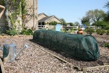 Easy Net Tunnel 