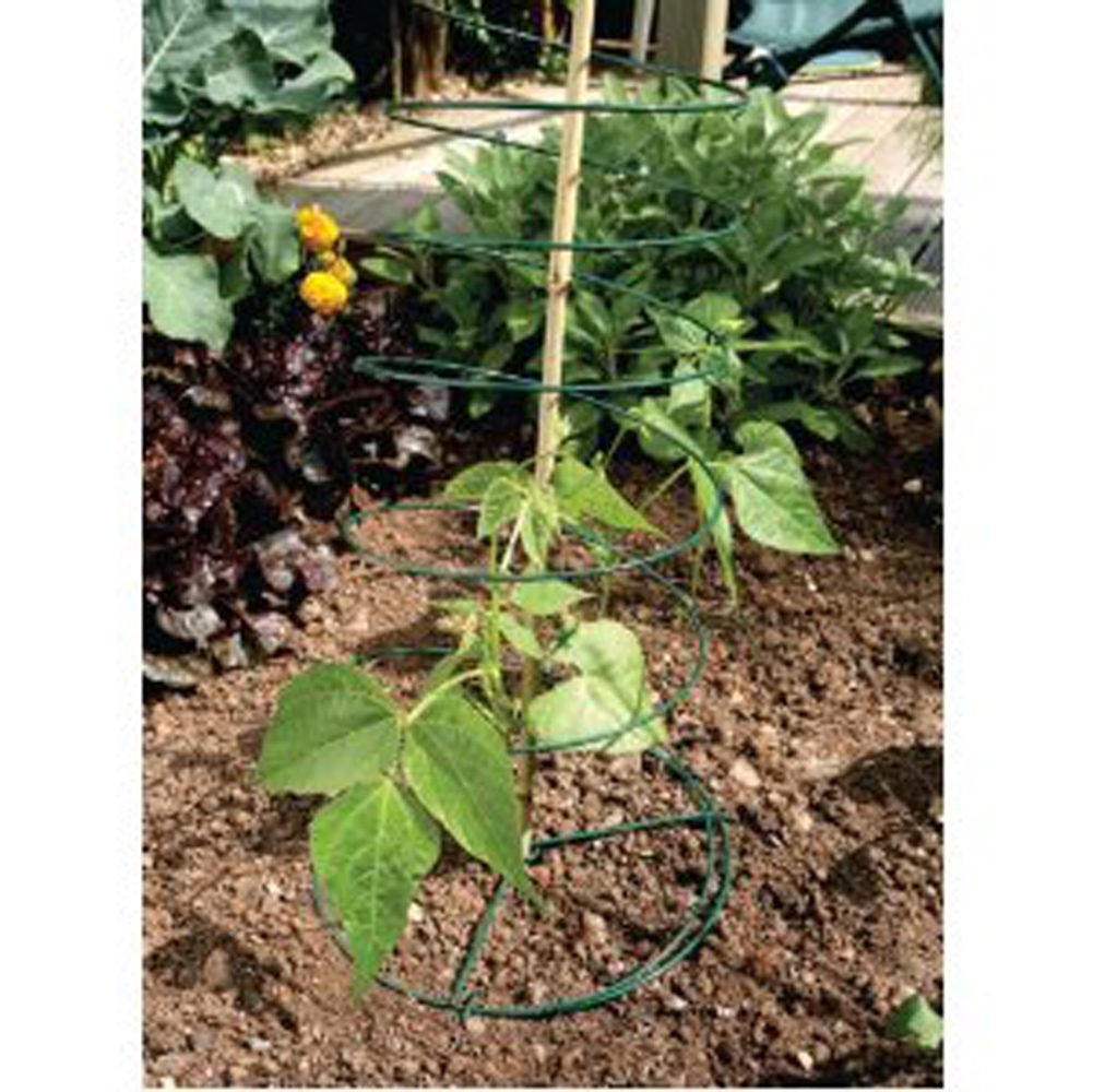 Multi Spiral Plant Support Plant Support Trellis