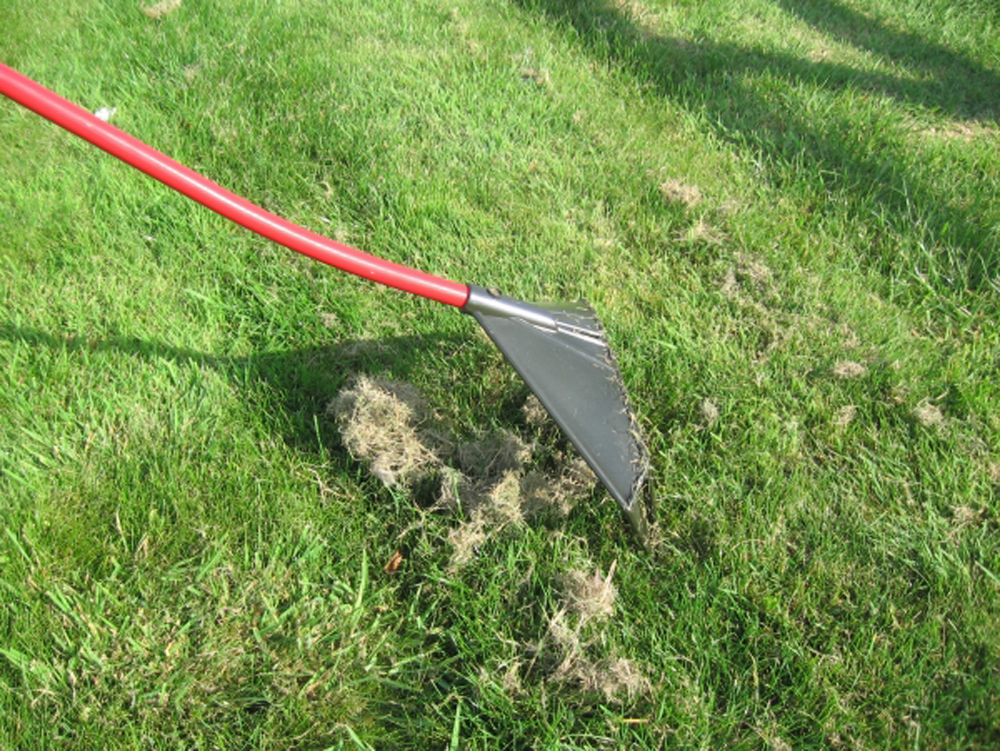 Garden Supply Direct > Home