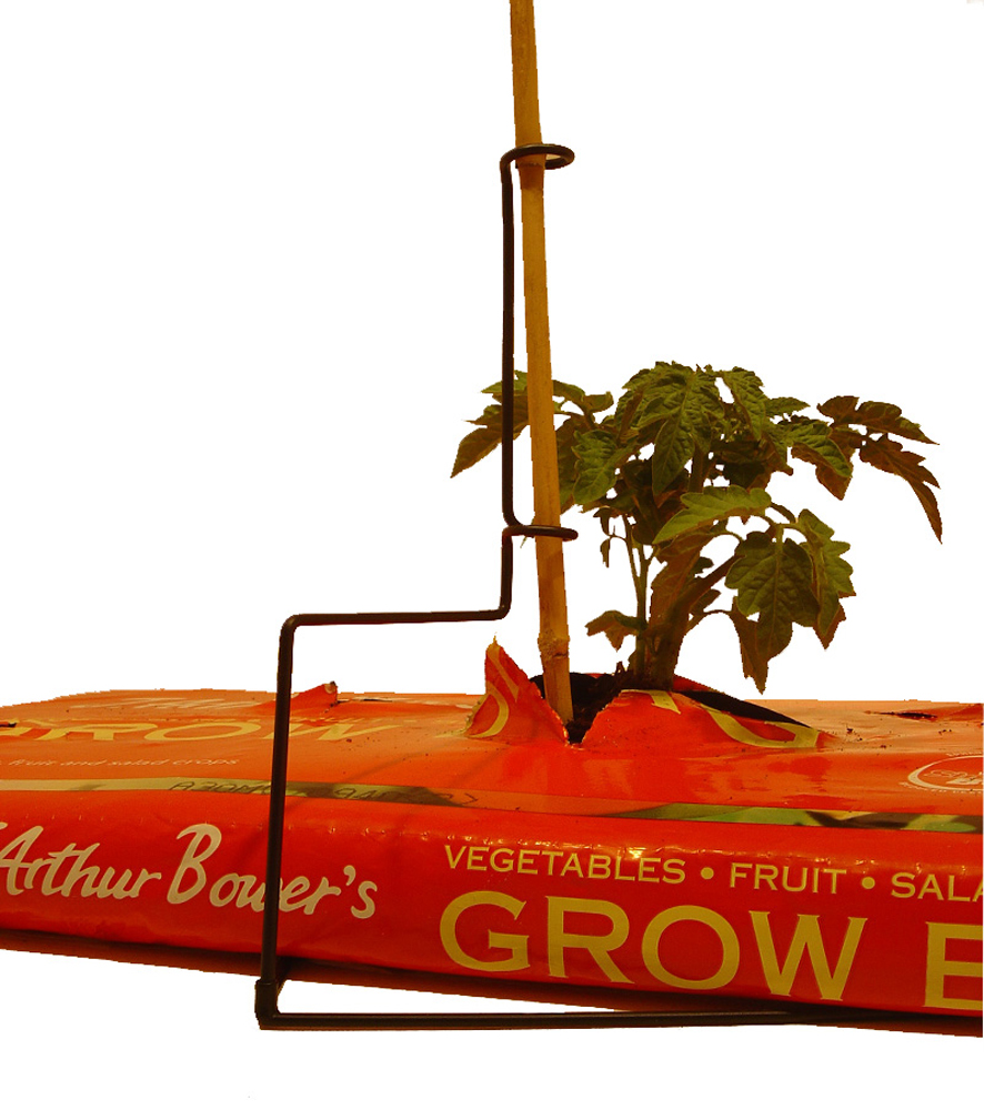 Grow Bag Cane Support 3 Pack Plant Support Trellis