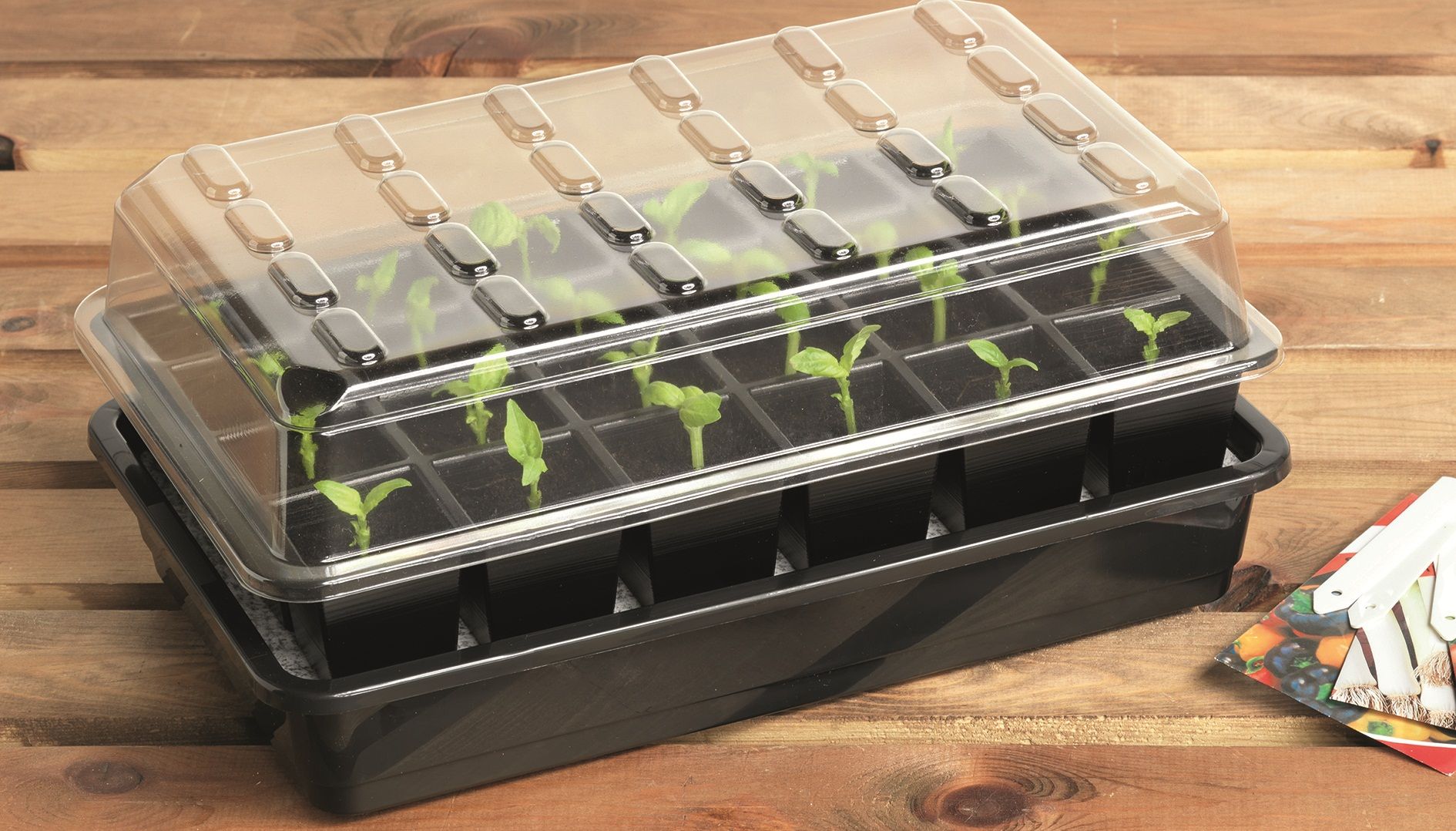 24 Cell Self Watering Seed Success Kit Garden Trays