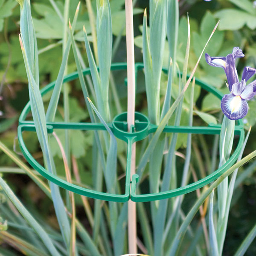 Tenax Flower Support Rings 2 Pack Plant Support Trellis Tenax Flower Support Rings 2 Pack Plant Support Trellis