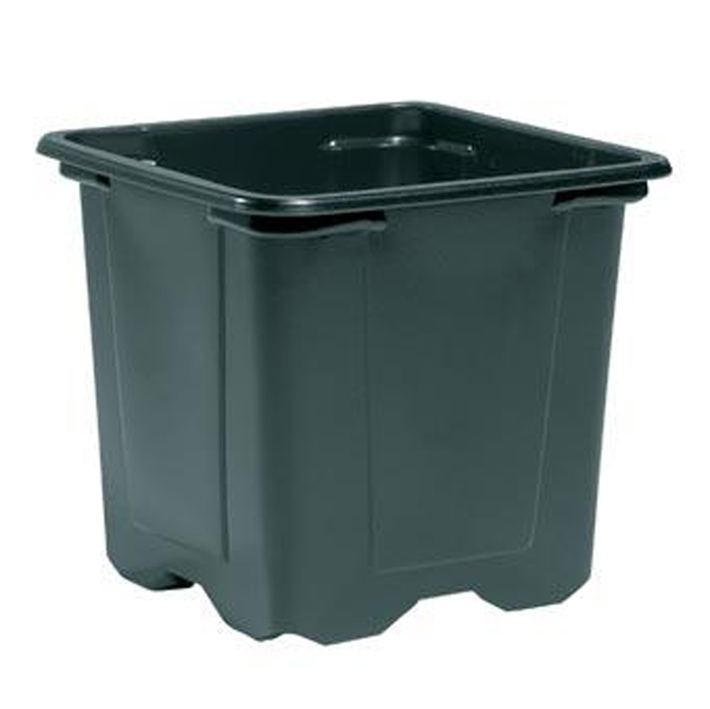 Teku 8cm square black plant pots 100 pack Plant Pots