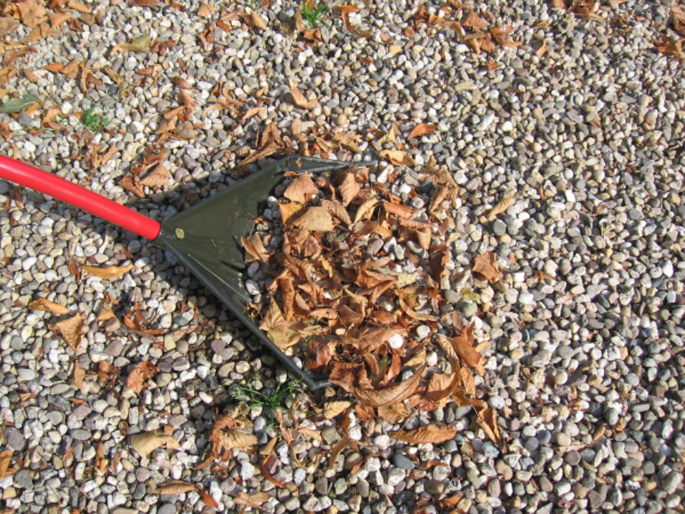 Garden Supply Direct > Home