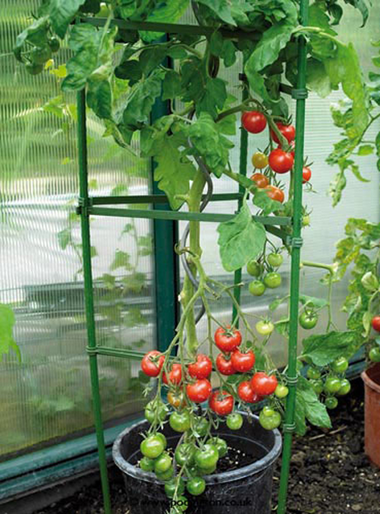 Gardman Tomato Cage Plant Support x 3 Plant Support Trellis