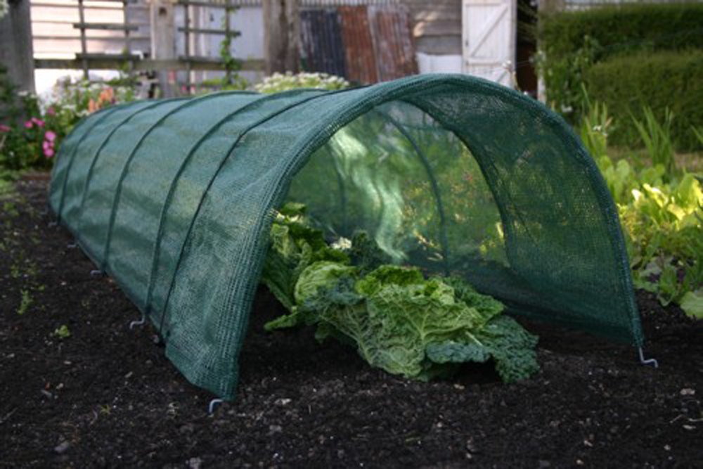 Giant Easy Net Tunnel Grow Your Own