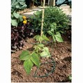 Multi Spiral Plant Support 