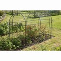 Haxnicks Long Fruit Cage - Steel 
