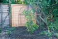 Haxnicks Round Fruit Cage 