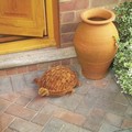 Turtle / Tortoise Boot Scraper 