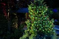 50 Coloured LED Christmas Tree Lights  