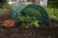 Easy Net Tunnel X 2 