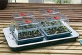 Four Top Electric Propagator 