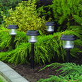 Gardman Multi Accent Light 4 Pack 