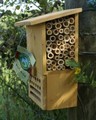 Beneficial Bug Box 