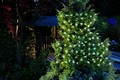 50 White LED Christmas String Lights M 