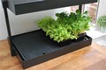 Growlight Garden - Self Watering Tray 