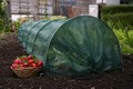 Easy Net Tunnel X 1 